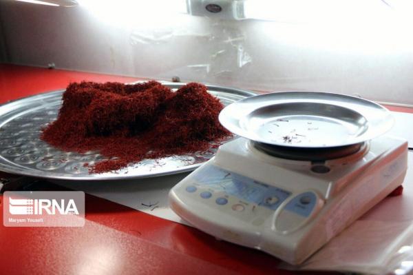 خبرنگاران دولت حدود 12 هزار و 500 کیلوگرم زعفران خراسان رضوی را خریداری کرد