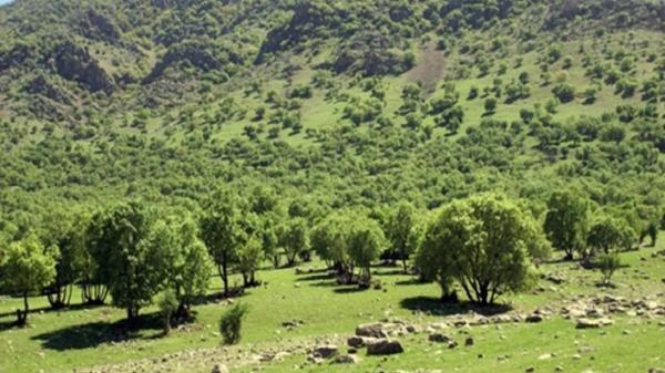 احداث پد بالگرد چند منظوره در چهارمحال و بختیاری احداث پد بالگرد چند منظوره در چهارمحال و بختیاری
