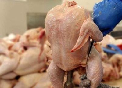 چرا مرغ چند نرخی شد؟ ، مرغ را بالاتر از این قیمت نخرید