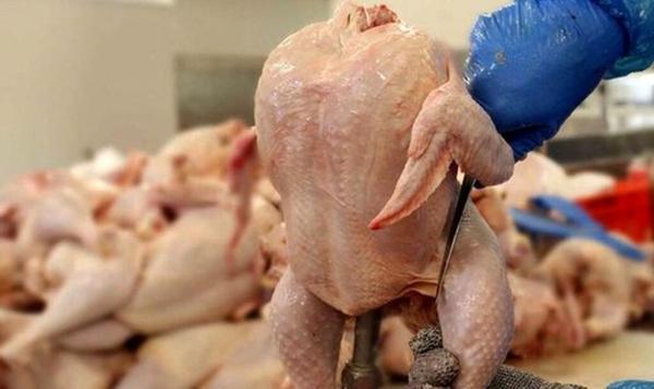 چرا مرغ چند نرخی شد؟ ، مرغ را بالاتر از این قیمت نخرید